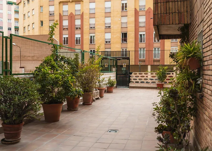 Las Flores Apartment
