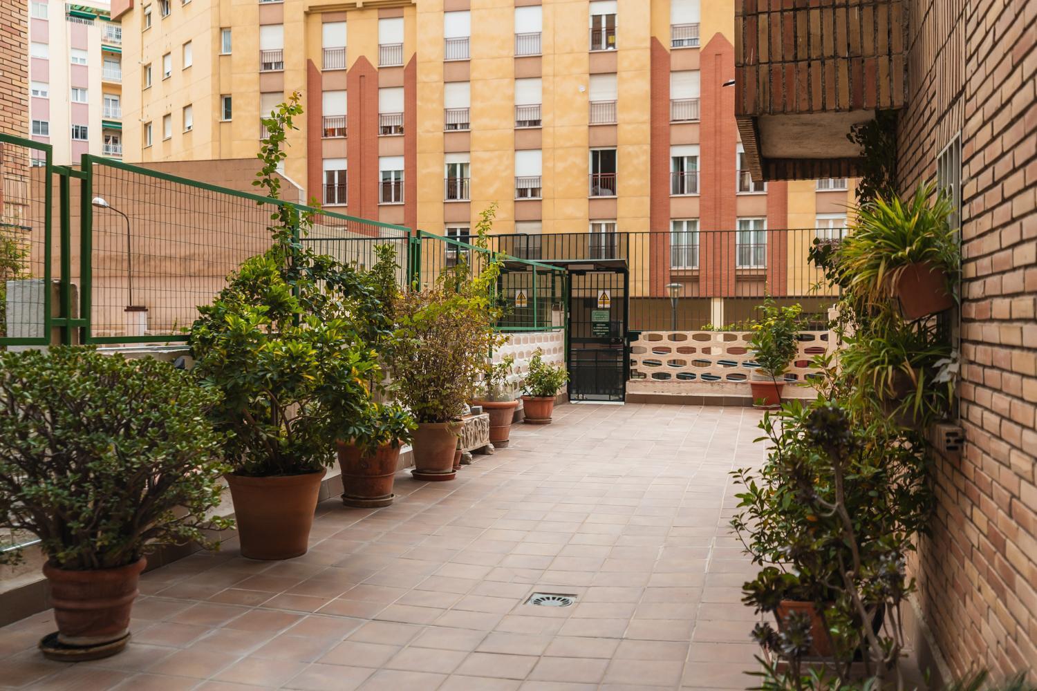 Apartment Flores